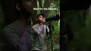 Wildlife Photography #nature  #shorts #short #shortvideo #mother #photography #motivation  #wildlife