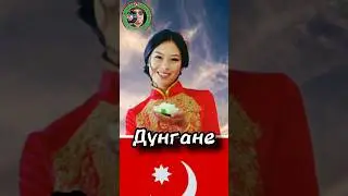 Дунгане - кто они?  