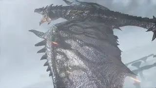 Silver Rathalos / リオレウス希少種 - Casual Hunt [ MH Rise: Sunbreak / モンスターハンターライズ：サンブレイク ]