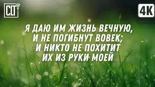 Так возлюбил Бог мир, что отдал Сына Своего, дабы всякий верующий в Него, имел жизнь вечную | Relax