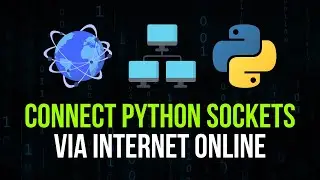 Connect Sockets via Internet in Python