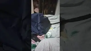 Пастор 1!? НАВАЛИВАЕТ НЕ ХУЖЕ ДРАГА?