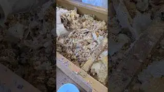 что делать с забрусом!?