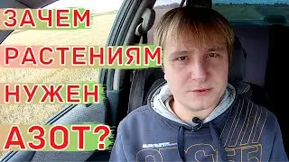 Азотное питание растений. Источники азота для растений. NPK
