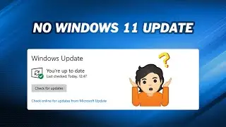 Fix Windows 11 Not Showing Up in Windows Update