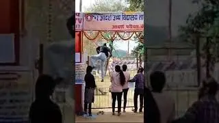 After Exam jump the wall