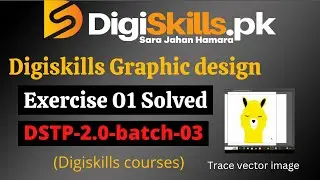 Digiskills graphic designing exercise 1 batch 3 solution