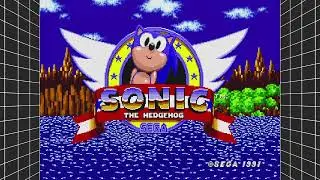 SONIC the HEDGEHOG - GREEN HILL ZONE | Sega Mega Drive and Genesis Classics