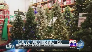 Real vs. Fake Christmas Tree