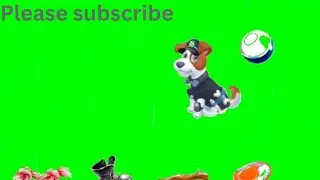 dog playing in the grand 🐶 free copyright green screen 🐶 dog play