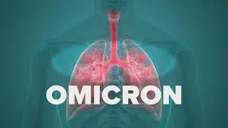 Differences in symptoms, severity between omicron and delta variants of COVID-19