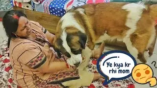 Mom doing Yoga in front of Tyzuu | What was his reaction?
