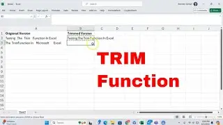 How to Use the TRIM Function in Microsoft Excel! Remove Extra Spaces in Text! #msexcel #howto