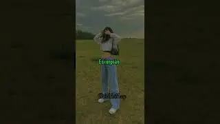 Signos mais debochados Parte 1 - TsBhi thay