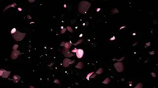 Falling Rose Petals Background Video Animation |  Motion Background Loop | No Copyright