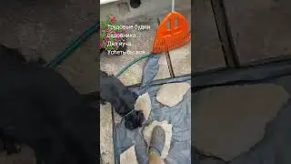И это тоже сад. 