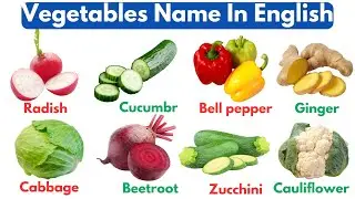 Vegetables Name in English | Vegetables Name | Vocabulary with Pictures