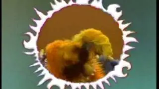 Sesame Street - Frazzle's Revenge (improved)