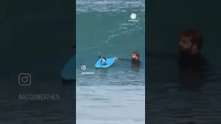 Surf’s Up! Penguin Catches a Wave 🐧🏄‍♂️🌊 | #surfsup #penguin #surfing #olympics #australia #wave