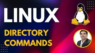 Part 2 - Unix/Linux for Testers | Directory Commands