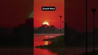 Crushes are like unsolved mysteries...