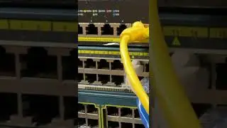 Zyxel and Cisco playing nicely together