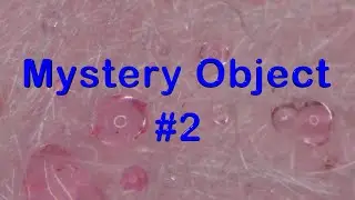 Mystery Object # 2  - Microscope Learning Video Mage Math