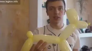 Собачка из шарика. Как сделать собачку из шарика
