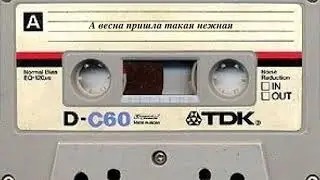 А весна пришла такая нежная