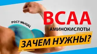 Всё о БЦАА. Как принимать BCAA, польза и свойства