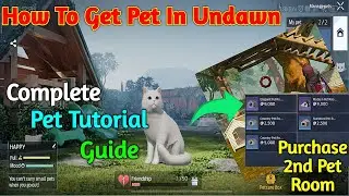 How To Get Pet In Undawn || Undawn Pet Tutorial Guide || 