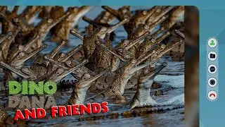 Fun Facts about Gharials! | Jane | Apple TV+