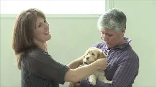 Photographing Puppies in Groups