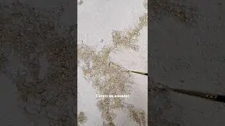 💎Фактурная штукатурка с потрясающе красивым золотом 🔥 Полный МК уже скоро! 