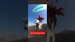 कुत्ते को लेकर हवा में उड़ा. #viralvideo #viral