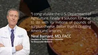 Breaking News | The Federal Highway Administration Filling Potholes with Surplus Cheese