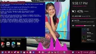 Bugbog Berna Song has BSOD VM (Windows XP)