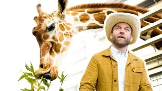 Fort Worth Zoo - is it the Best  Zoo in Texas? 🦁