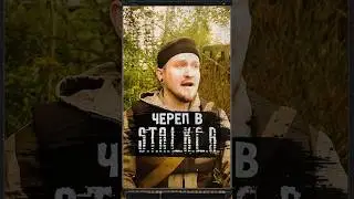 ЧЕРЕП В S.T.A.L.K.E.R. #shorts #игры #stalker