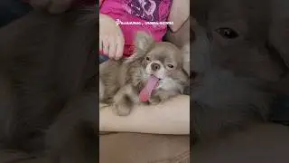 Филимоша субботнее утро
