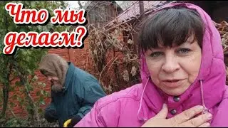 Все делаем вместе с мамой. Не хватило комплекта. Вернут или нет? Жизнь семьи в деревне.