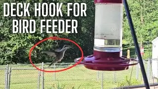 Hummingbird Feeder Deck Hook