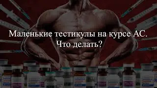 Маленькие тестикулы на курсе АС. ЧТО ДЕЛАТЬ?