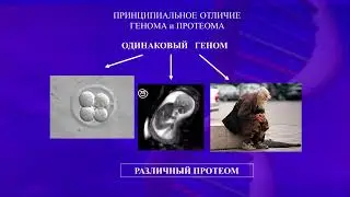 Откуда берутся наследственные болезни