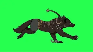 Wolf Animation Green Screen | Wolf Chroma Key | Beast | Sky Fx