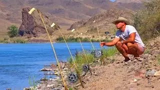 РЫБАЛКА КАК В ДЕТСТВЕ. ЖИВОПИСНЫЕ МЕСТА. Сазаны, белые амуры, раки, змея.