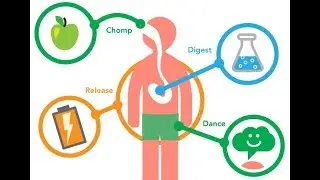 Introduction to metabolism | Part 1 (Biochemistry)