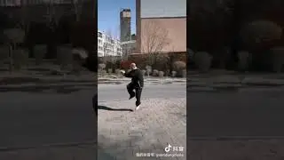 Chuojiao Wen Tangzi 戳脚文趟子 - Swallow Shape Boxing 燕行拳