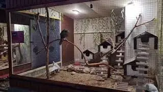 💕ВСТРЕЧИ в 