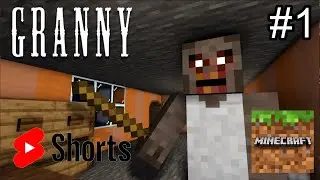 TOP 15 GRANNY MINECRAFT SHORTS